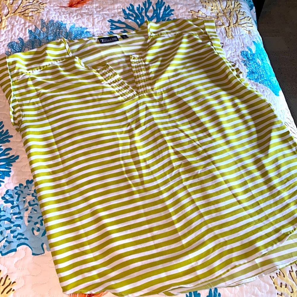 Silky Summer Top